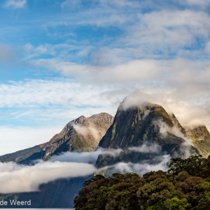 2018-12-10 - Kale ruige en groene begroeide bergen tot aan zee<br/>Milford Sound fjord - Milford Sound - Nieuw-Zeeland<br/>Canon EOS 5D Mark III - 70 mm - f/11.0, 1/160 sec, ISO 200