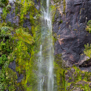 2018-12-10 - Eén van de vele watervallen<br/>Milford Sound fjord - Milford Sound - Nieuw-Zeeland<br/>Canon EOS 5D Mark III - 36 mm - f/8.0, 1/13 sec, ISO 200