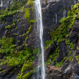 2018-12-10 - En nog een waterval die in het groene zeewater stort<br/>Milford Sound fjord - Milford Sound - Nieuw-Zeeland<br/>Canon EOS 5D Mark III - 24 mm - f/5.6, 1/60 sec, ISO 400