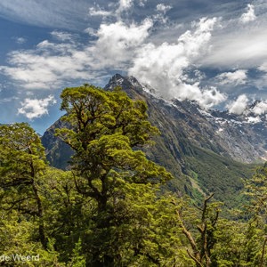 2018-12-10 - Ongeveer halverwege - de mooie uitzichten komen er aan<br/>Key Summit track - Milford Sound - Te Anau - Nieuw-Zeeland<br/>Canon EOS 5D Mark III - 31 mm - f/11.0, 1/80 sec, ISO 200