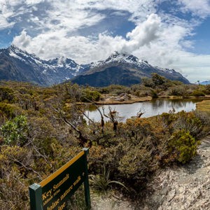 2018-12-10 - We hebben de Key Summit (de top) bereikt<br/>Key Summit track - Milford Sound - Te Anau - Nieuw-Zeeland<br/>Canon EOS 5D Mark III - 24 mm - f/11.0, 1/80 sec, ISO 200