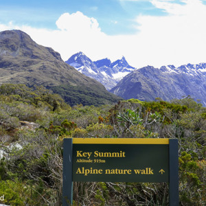 2018-12-10 - We hebben de Key Summit gehaald :-)  Nu nog een kleine nature wa<br/>Key Summit track - Milford Sound - Te Anau - Nieuw-Zeeland<br/>Canon PowerShot SX60 HS - 5.7 mm - f/4.0, 1/320 sec, ISO 100