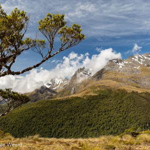 2018-12-10 - Het uitzicht<br/>Key Summit track - Milford Sound - Te Anau - Nieuw-Zeeland<br/>Canon EOS 5D Mark III - 31 mm - f/11.0, 1/125 sec, ISO 200