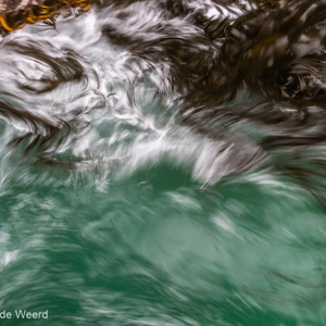 2018-12-12 - Zeewier<br/>Harington Point - Dunedin (Otega Peninsula) - Nieuw-Zeeland<br/>Canon EOS 7D Mark II - 135 mm - f/22.0, 0.25 sec, ISO 100