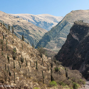 2010-07-08 - Steile bergflanken met cactussen<br/>NP Los Cordones - Cachi - Argentinië<br/>Canon EOS 50D - 40 mm - f/8.0, 0.01 sec, ISO 200
