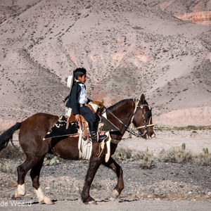2010-07-09 - Jonge gaucho weer op weg naar huis<br/>Quebrada de Humahuaca - Purmamarca - Argentinië<br/>Canon EOS 50D - 60 mm - f/8.0, 1/320 sec, ISO 200