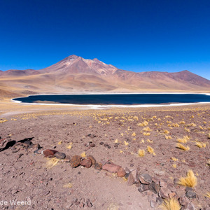 2010-07-13 - Vicunas spotten<br/>Laguna Miscanti - Socaire - Chili<br/>Canon EOS 50D - 10 mm - f/11.0, 1/640 sec, ISO 200