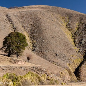 2010-07-04 - Ge-erodeerd berglandschap<br/>Rondom Digue la Angostura - Taffi del Valle - Argentinië<br/>Canon EOS 50D - 35 mm - f/8.0, 1/125 sec, ISO 200