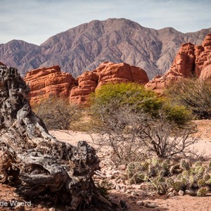 2010-07-06 - Mooie gekleurde canyon<br/>Quebrada de Cafayate - Cafayate - Argentinië<br/>Canon EOS 50D - 35 mm - f/11.0, 1/60 sec, ISO 200