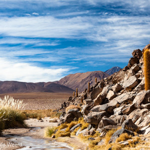 2010-07-14 - Prachtig landschap<br/>Vallei met cactussen - Gautin - Chili<br/>Canon EOS 50D - 35 mm - f/11.0, 1/200 sec, ISO 200