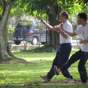 2009-08-08 - Ochtend Tai-chi<br/>Seevinasagam Park - Ipoh - Maleisië<br/>Canon PowerShot SX1 IS - 100 mm - f/5.7, 1/60 sec, ISO 200