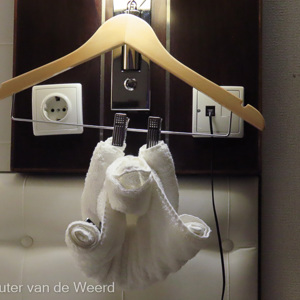 2022-07-20 - De handdoeken als orang oetan<br/><br/>Canon PowerShot SX70 HS - 9.8 mm - f/4.5, 1/15 sec, ISO 800
