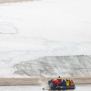 2022-07-19 - IJsbeer op het ijs<br/>Torellneset - Spitsbergen<br/>Canon EOS R5 - 400 mm - f/7.1, 1/2500 sec, ISO 800