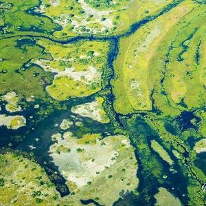 2024-05-01 - Mooie abstracte patronen vanuit de lucht gezien<br/>Onderweg (vliegtuigje) - Okavango Delta - airstrip Kwai R - Botswana<br/>Canon EOS R6m2 - 65 mm - f/7.1, 1/1000 sec, ISO 800
