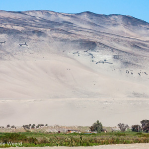 2010-07-19 - Geoglyphen op een bergwand<br/>Onderweg - Tussen Arica en Putre - Chili<br/>Canon EOS 50D - 105 mm - f/8.0, 1/500 sec, ISO 200