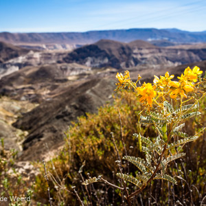 2010-07-19 - Toch nog wat kleur<br/>Onderweg - Tussen Arica en Putre - Chili<br/>Canon EOS 50D - 24 mm - f/8.0, 1/125 sec, ISO 200