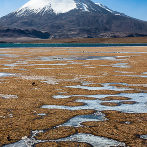 2010-07-20 - Parinacota vulkaan<br/>NP Lauca - Lago Chungara - Putre - Chili<br/>Canon EOS 50D - 35 mm - f/11.0, 1/160 sec, ISO 200