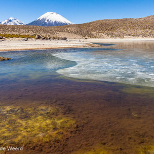 2010-07-21 - Meertje met Parinacota vulkaan op achtergrond<br/>NP Lauca - Parinacota - Chili<br/>Canon EOS 50D - 16 mm - f/11.0, 1/250 sec, ISO 200