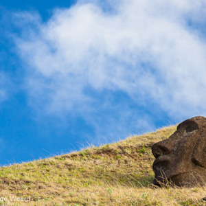 2010-07-24 - Eenzaam moai hoofd<br/>Rano Raraku - Chili - Paaseiland<br/>Canon EOS 50D - 105 mm - f/5.6, 1/160 sec, ISO 200