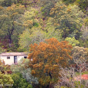 2019-04-24 - Huisje tussen de gekleurde bomen<br/>Querença - Portugal<br/>Canon EOS 7D Mark II - 100 mm - f/8.0, 1/60 sec, ISO 400