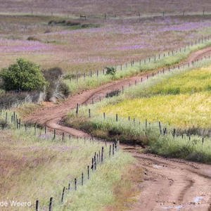 2019-04-25 - Lijnen in het boeren-landdschap<br/>Almodôvar - Portugal<br/>Canon EOS 7D Mark II - 220 mm - f/5.6, 1/800 sec, ISO 400