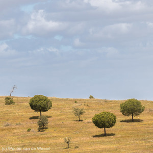 2019-04-26 - De drie broers<br/>Santana de Cambas - Portugal<br/>Canon EOS 7D Mark II - 164 mm - f/5.0, 1/1000 sec, ISO 200