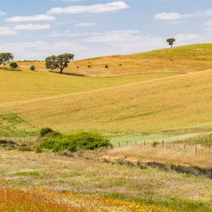 2019-04-26 - Glooiend landschap<br/>Mértola - Portugal<br/>Canon EOS 7D Mark II - 100 mm - f/8.0, 1/250 sec, ISO 400
