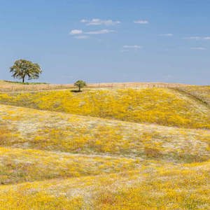 2019-04-26 - Panorama vsn het fraaie glooiende Alentejo <br/>Mértola - Portugal<br/>Canon EOS 7D Mark II - 100 mm - f/5.6, 1/500 sec, ISO 200