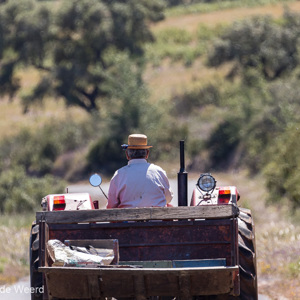 2019-04-26 - Het rustige boerenleven in de Alentejo<br/>Mértola - Portugal<br/>Canon EOS 7D Mark II - 400 mm - f/5.6, 1/640 sec, ISO 400