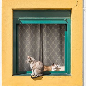 2019-04-27 - Heerlijk plekje in de zon<br/>Évora - Portugal<br/>Canon EOS 7D Mark II - 29 mm - f/8.0, 1/160 sec, ISO 200