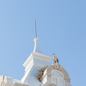 2019-04-21 - Overal zitten ooievaars op daken in de stad<br/>Faro - Portugal<br/>Canon EOS 7D Mark II - 70 mm - f/8.0, 1/250 sec, ISO 200