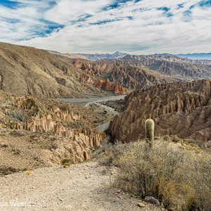 2019-09-12 - Net buiten Tupiza is het alsof je in het westen van de VS bent<br/>Tupiza - Bolivia<br/>Canon EOS 5D Mark III - 24 mm - f/11.0, 0.02 sec, ISO 400