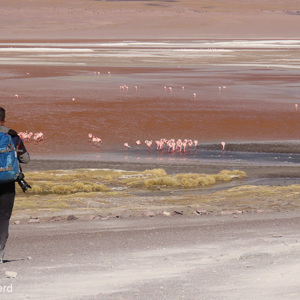 2019-09-13 - Wouter bij de Laguna Colorada<br/><br/>Canon PowerShot SX70 HS - 25.4 mm - f/7.1, 1/1000 sec, ISO 100