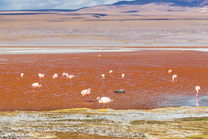 Bolivia - deel 5