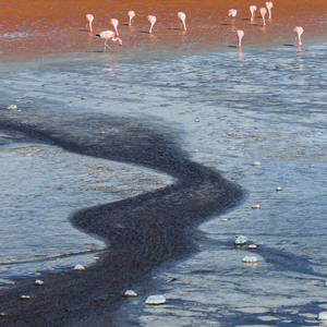 2019-09-13 - Laguna Colorada - wit, rood, blauw, geel en flamingos<br/>Laguna Colorada - San Pablo de Lípez - Bolivia<br/>Canon EOS 7D Mark II - 104 mm - f/5.6, 1/800 sec, ISO 200
