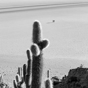2019-09-15 - Isla Incahuasi - wandelend over de enorme zoutvlakte<br/>Isla Incahuasi - Salar de Uyuni - Bolivia<br/>Canon EOS 5D Mark III - 70 mm - f/11.0, 0.01 sec, ISO 200