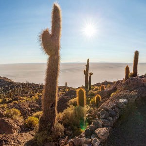 2019-09-15 - Panorama op het hoogste punt van het eiland<br/>Isla Incahuasi - Salar de Uyuni - Bolivia<br/>Canon EOS 5D Mark III - 24 mm - f/11.0, 1/160 sec, ISO 200