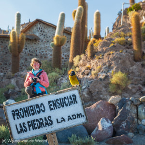 2019-09-15 - Verboden de rotsen vuil te maken<br/>Isla Incahuasi - Salar de Uyuni - Bolivia<br/>Canon EOS 5D Mark III - 70 mm - f/11.0, 1/30 sec, ISO 200
