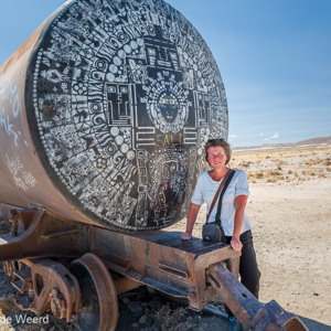 2019-09-15 - Vele verroeste treinstellen zijn met grafitti versierd<br/>Cementerio de trenes - Uyuni (Thola Pampa) - Bolivia<br/>Canon EOS 5D Mark III - 24 mm - f/8.0, 0.01 sec, ISO 200