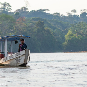 2019-09-18 - Iedereen vaart in dit soort bootjes<br/>NP Madidi - San Buenaventura - Bolivia<br/>Canon EOS 7D Mark II - 100 mm - f/5.6, 1/2000 sec, ISO 800