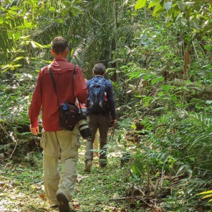 2019-09-19 - Wandeling door de jungle - leuk maar warm<br/><br/>Canon PowerShot SX70 HS - 9.6 mm - f/4.5, 0.02 sec, ISO 160