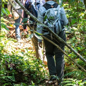 2019-09-19 - Achter de gids aan in de jungle<br/>NP Madidi - Apolo - Bolivia<br/>Canon EOS 7D Mark II - 100 mm - f/4.5, 1/80 sec, ISO 800