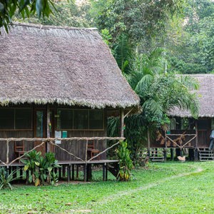 2019-09-20 - Onze hut van de jungle lodge<br/>NP Madidi - Apolo - Bolivia<br/>Canon EOS 5D Mark III - 70 mm - f/8.0, 0.1 sec, ISO 400