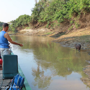 2019-09-22 - Wouter aan het vissen, met Capibara vlakbij<br/><br/>Canon PowerShot SX70 HS - 7.5 mm - f/4.0, 1/320 sec, ISO 100