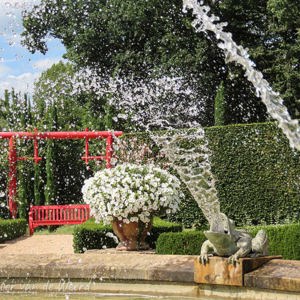 2020-07-14 - Waterspuwende kikker<br/>Tuinen van Eyrignac - Salignac-Eyvigues - Frankrijk<br/>Canon PowerShot SX70 HS - 14.2 mm - f/5.0, 1/800 sec, ISO 100