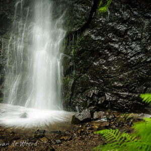 2020-07-15 - Het water waaierde mooi uiteen<br/>Cascade du Queureuilh - Mont Dore - Frankrijk<br/>Canon EOS 5D Mark III - 62 mm - f/8.0, 1 sec, ISO 200