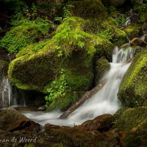 2020-07-16 - Een kleine waterval, maar wel mooi bemost<br/>Vallée de Chaudefour - Chambon-sur-Lac - Frankrijk<br/>Canon EOS 5D Mark III - 38 mm - f/8.0, 0.3 sec, ISO 200