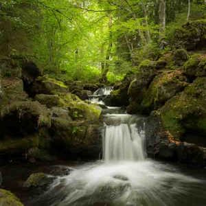 2020-07-16 - Vanuit een andere hoek met de groene bomen op de achtergrond<br/>Watervallen van Chiloza - Besse en Chandesse - Frankrijk<br/>Canon EOS 5D Mark III - 24 mm - f/11.0, 0.6 sec, ISO 400