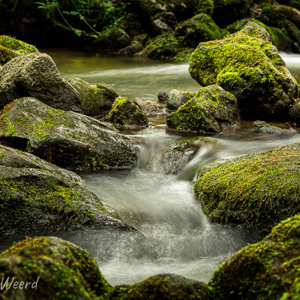 2020-07-16 - Met al dat water wordt alles vanzelf groen<br/>Watervallen van Chiloza - Besse en Chandesse - Frankrijk<br/>Canon EOS 5D Mark III - 54 mm - f/8.0, 1.3 sec, ISO 200