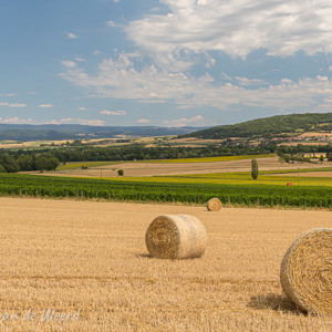 2020-07-20 - Glooiend landschap met stro-rollen<br/>Vallée des Saints - Boudes - Frankrijk<br/>Canon EOS 5D Mark III - 42 mm - f/11.0, 1/125 sec, ISO 200